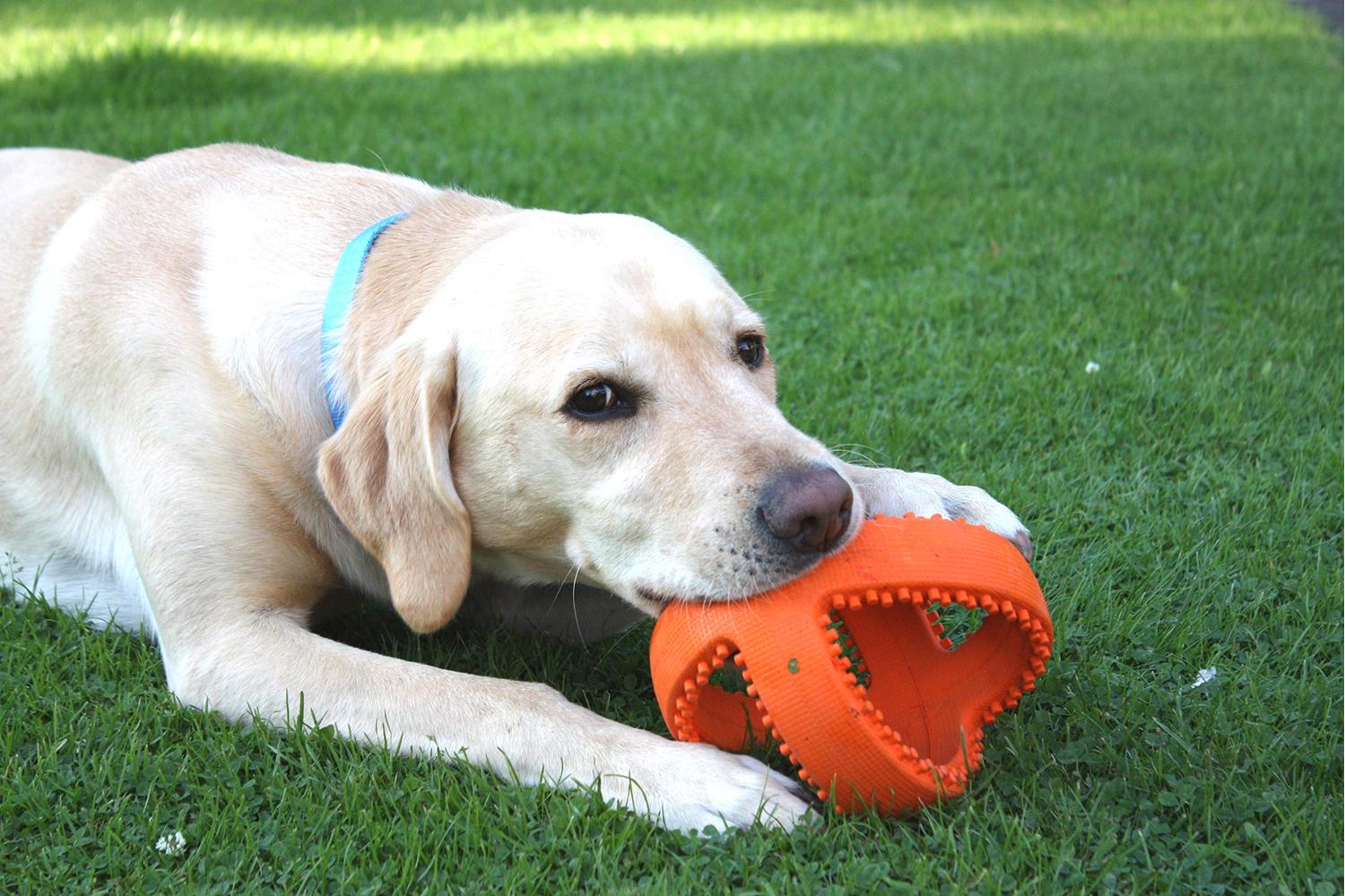Happypet Bp-14283 - H/pet Grubber Football-2