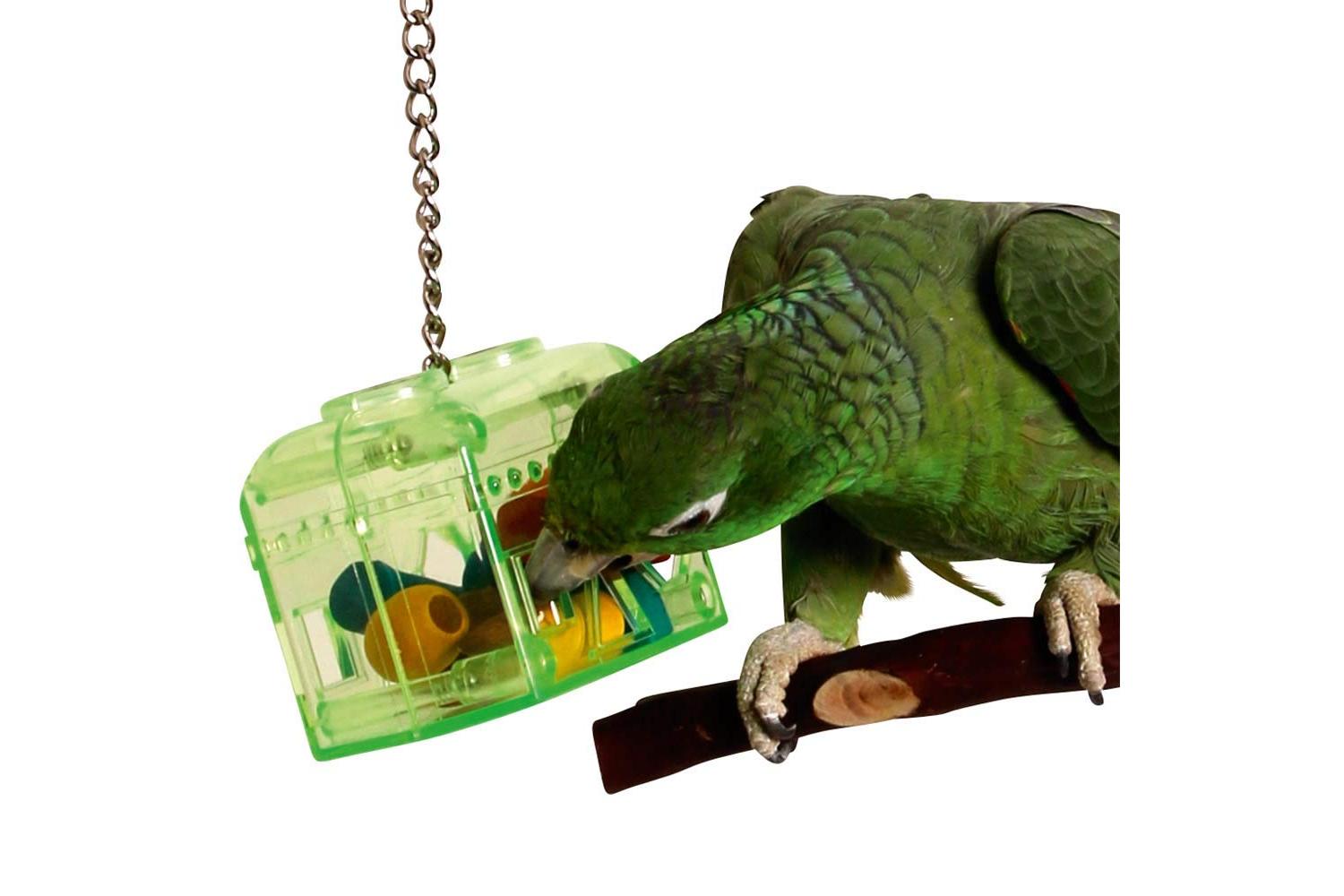 Happypet Bp-14150 - H/pet Treasure Hunt Toy Sgl