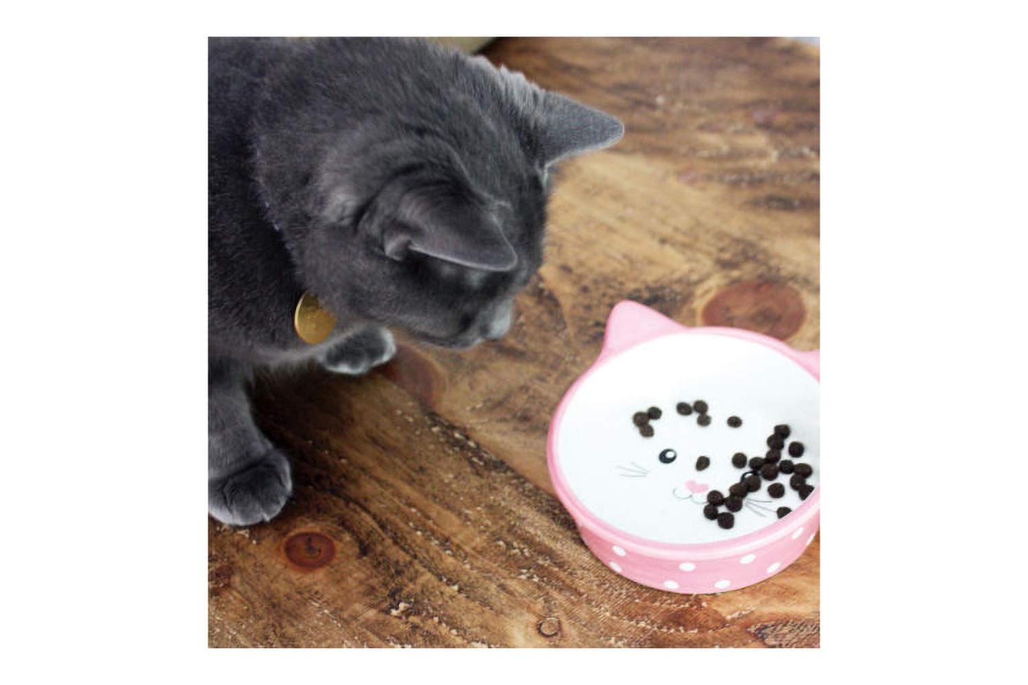 Happypet Bp-416283 - H/pet Polka Dot Cat Bowl - Pink
