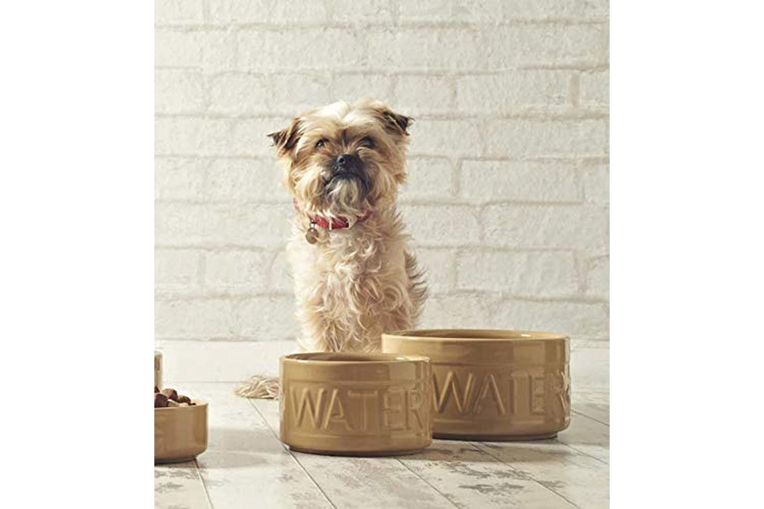 Mason Cash Bp-544277 - Mc High Bowl Letrd Water 6"-2