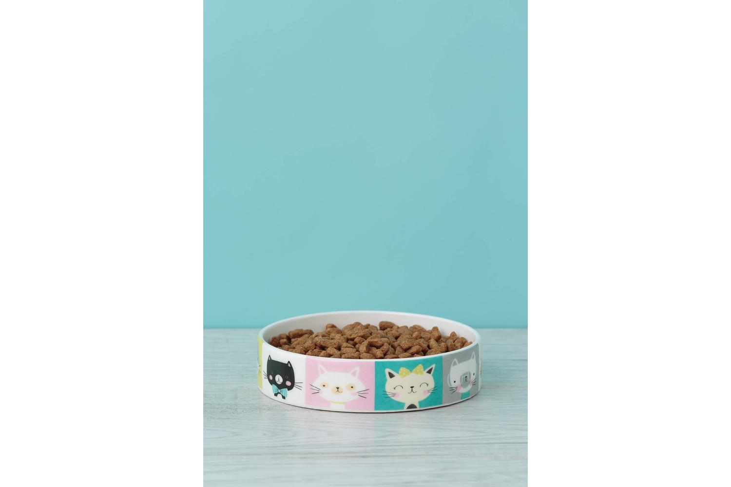 Mason Cash Bp-679444 - Mc Pawtrait Cat Bowl 13cm-2
