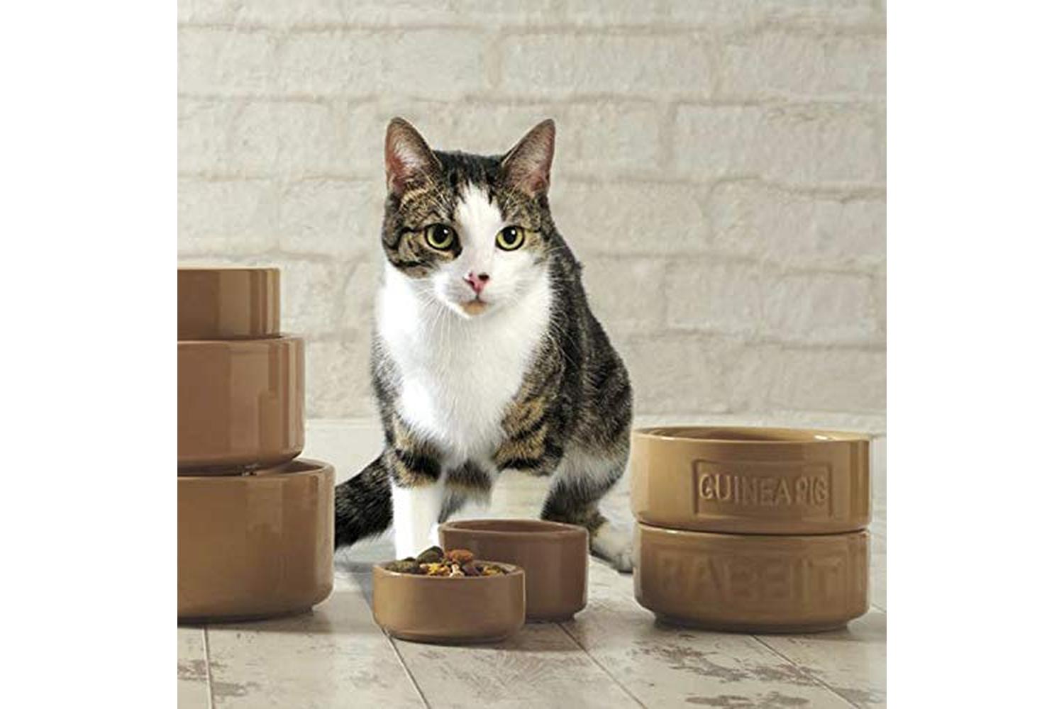 Mason Cash Bp-701612 - Mc Lettered Cat Bowl 5"-2