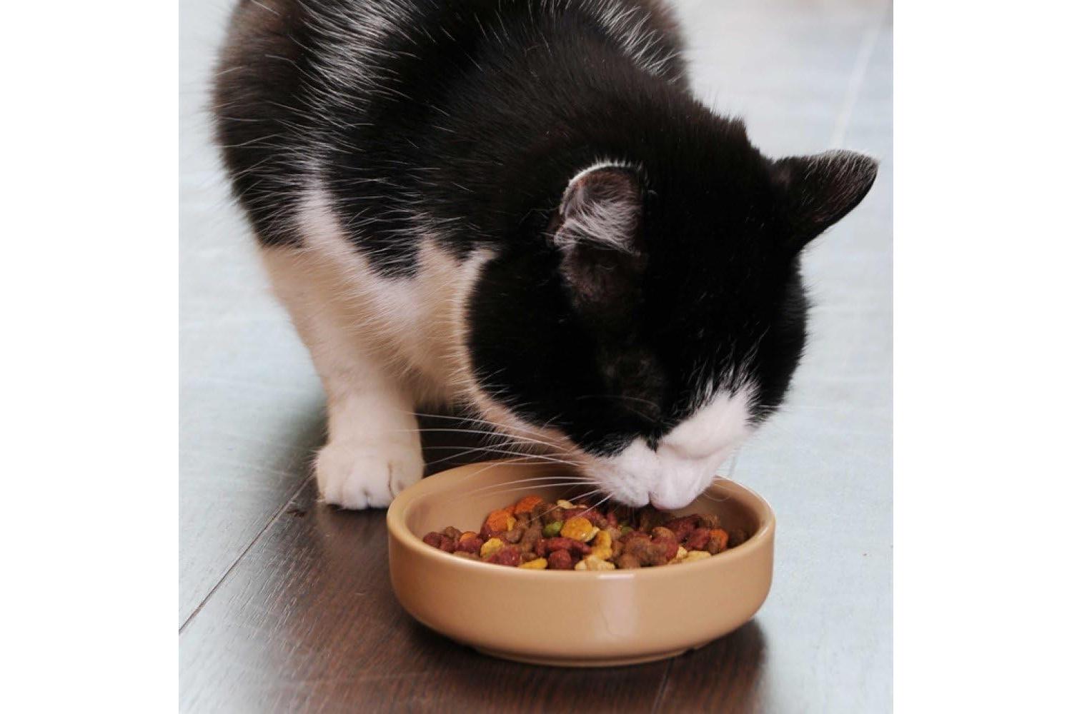 Mason Cash Bp-971603 - Mc Cat Drinking Saucer 5"-3