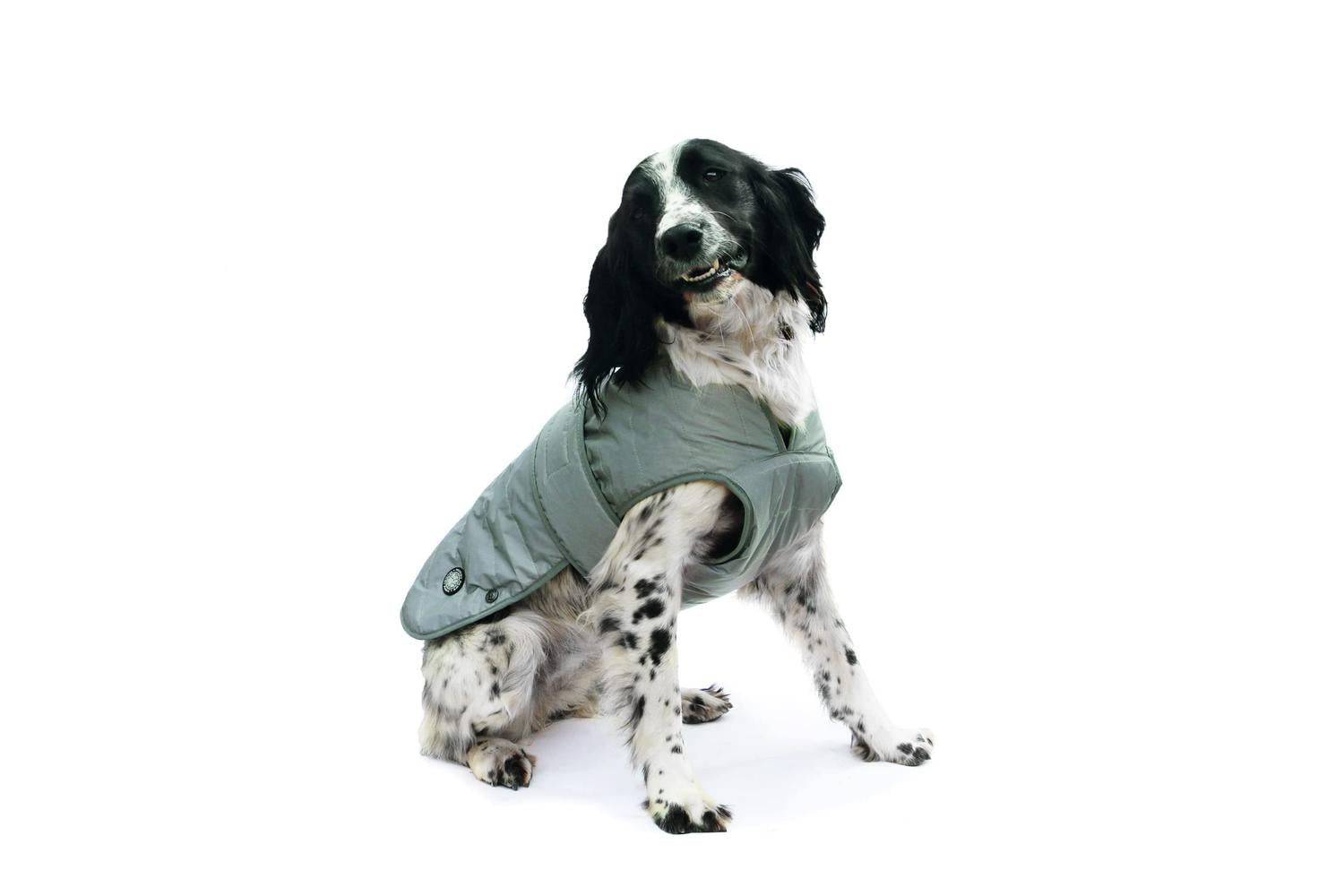 Muddy Paws Bp-766126 - An Ultimate Reflect Coat - Xl