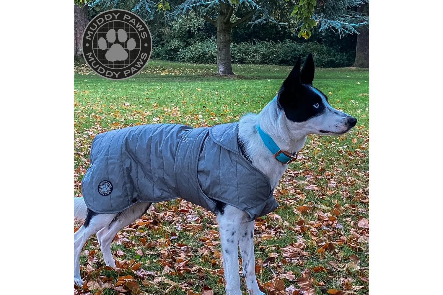 Muddy Paws Bp-766094 - An Ultimate Reflect Coat - S/m-3