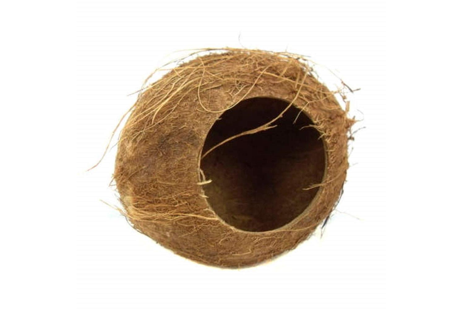 None Bp-13385 - H/pet Coconut Hut - 12cm