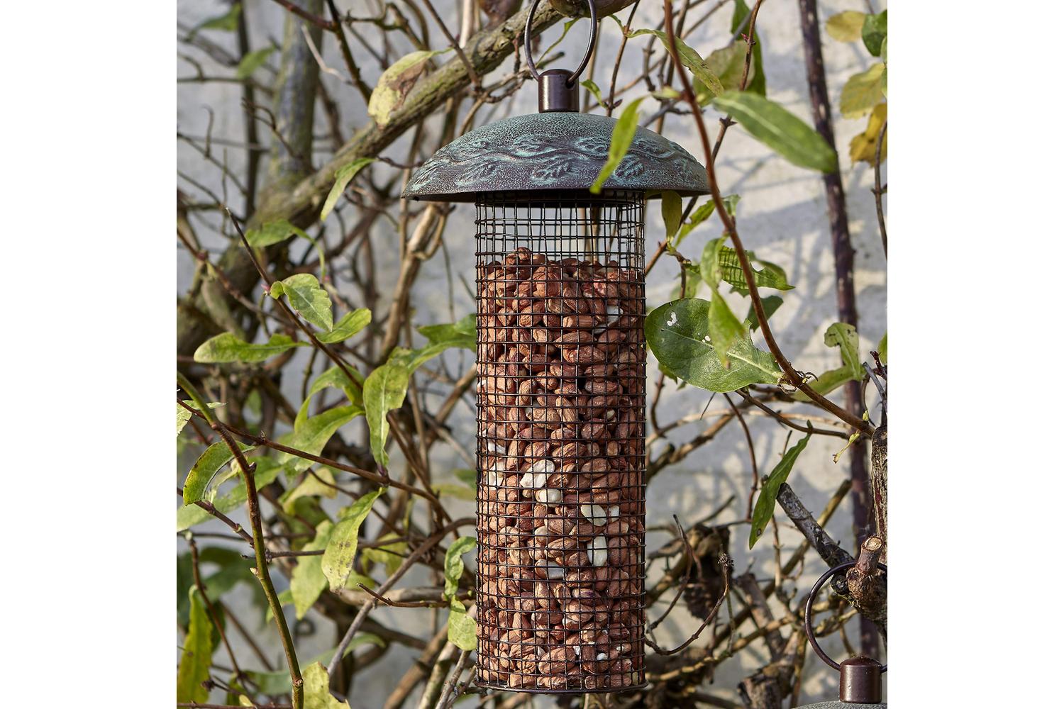 Peckish Bp-408482 - Peckish Sg Peanut Fdr Sgl-2