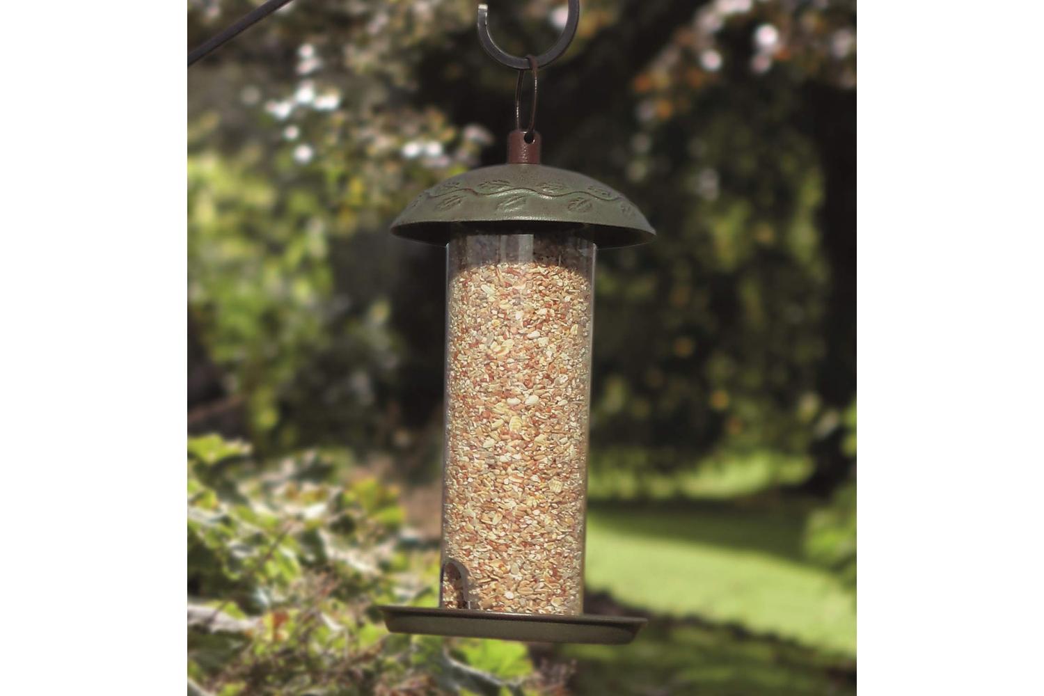 Peckish Bp-408441 - Peckish Sg Seed Fdr-2