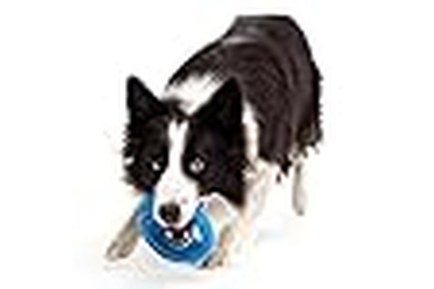 Rogz Bp-654204 - Rogz Pop Up Self Rig Blu S/m-3