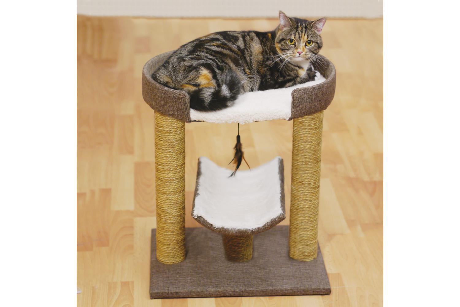 Rosewood Bp-663377 - Ros Saffron Cat Post - Sgl-2