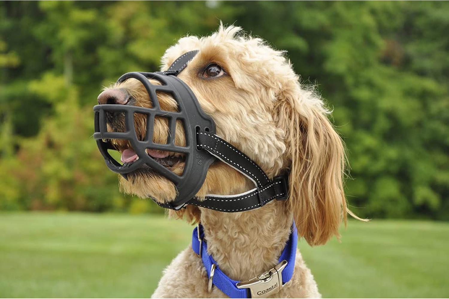 Rosewood Bp-693966 - Ros Soft Muzzle Black - Size 3-2