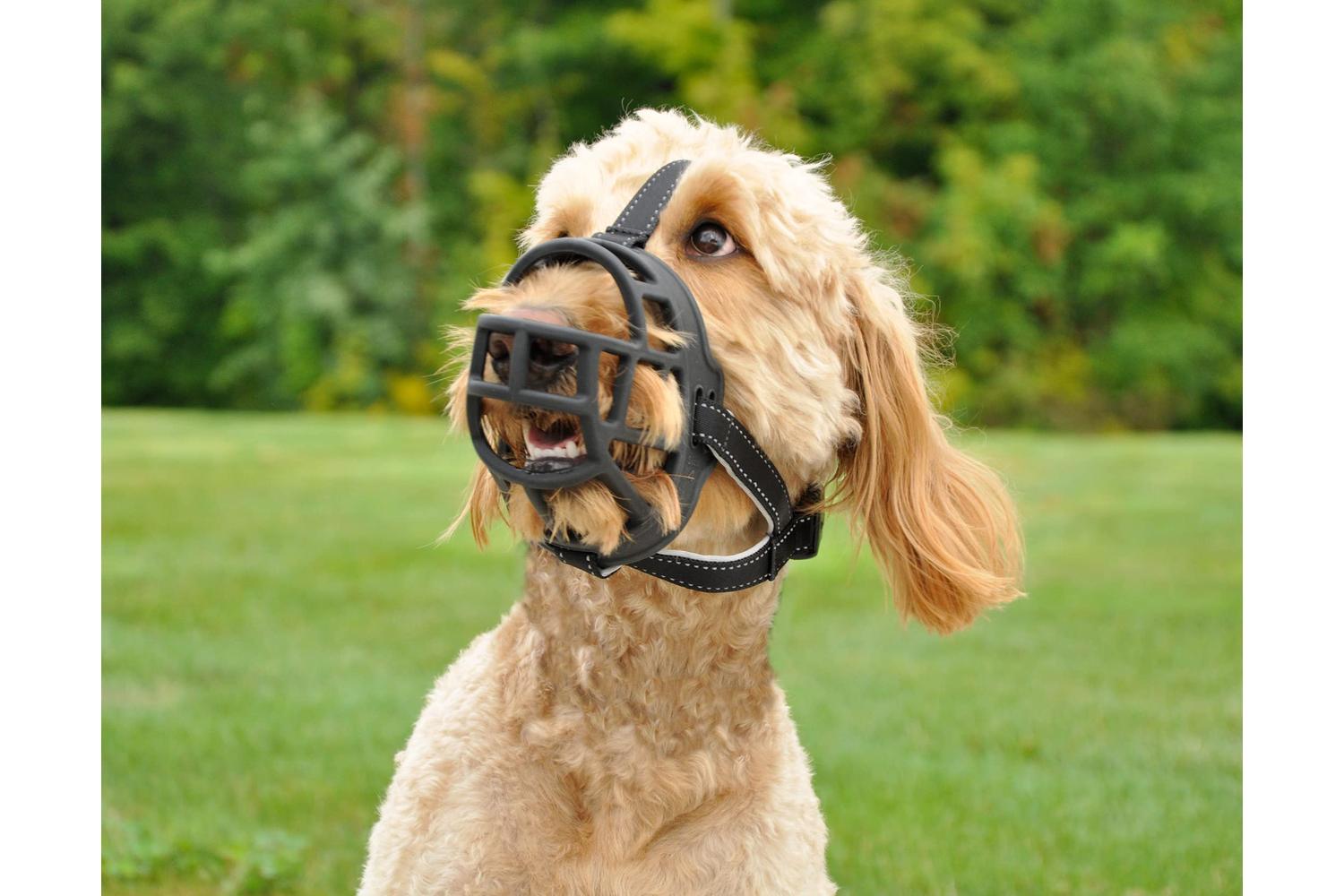 Rosewood Bp-693977 - Ros Soft Muzzle Black - Size 4-3