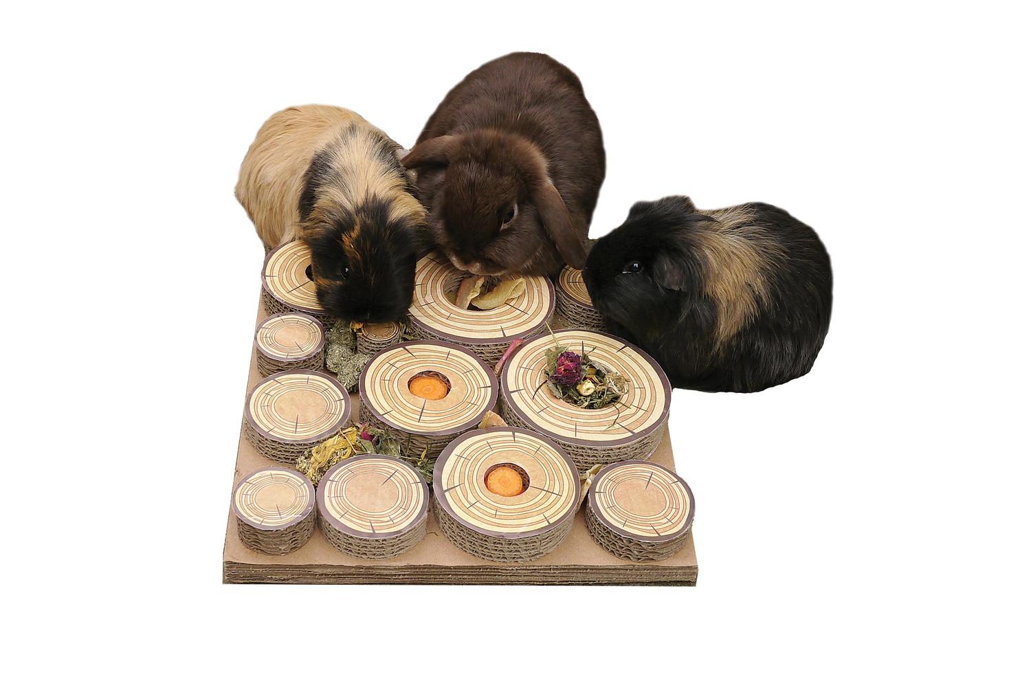 Rosewood Bp-663090 - Ros Maze A Log Treat Chl Sgl-2