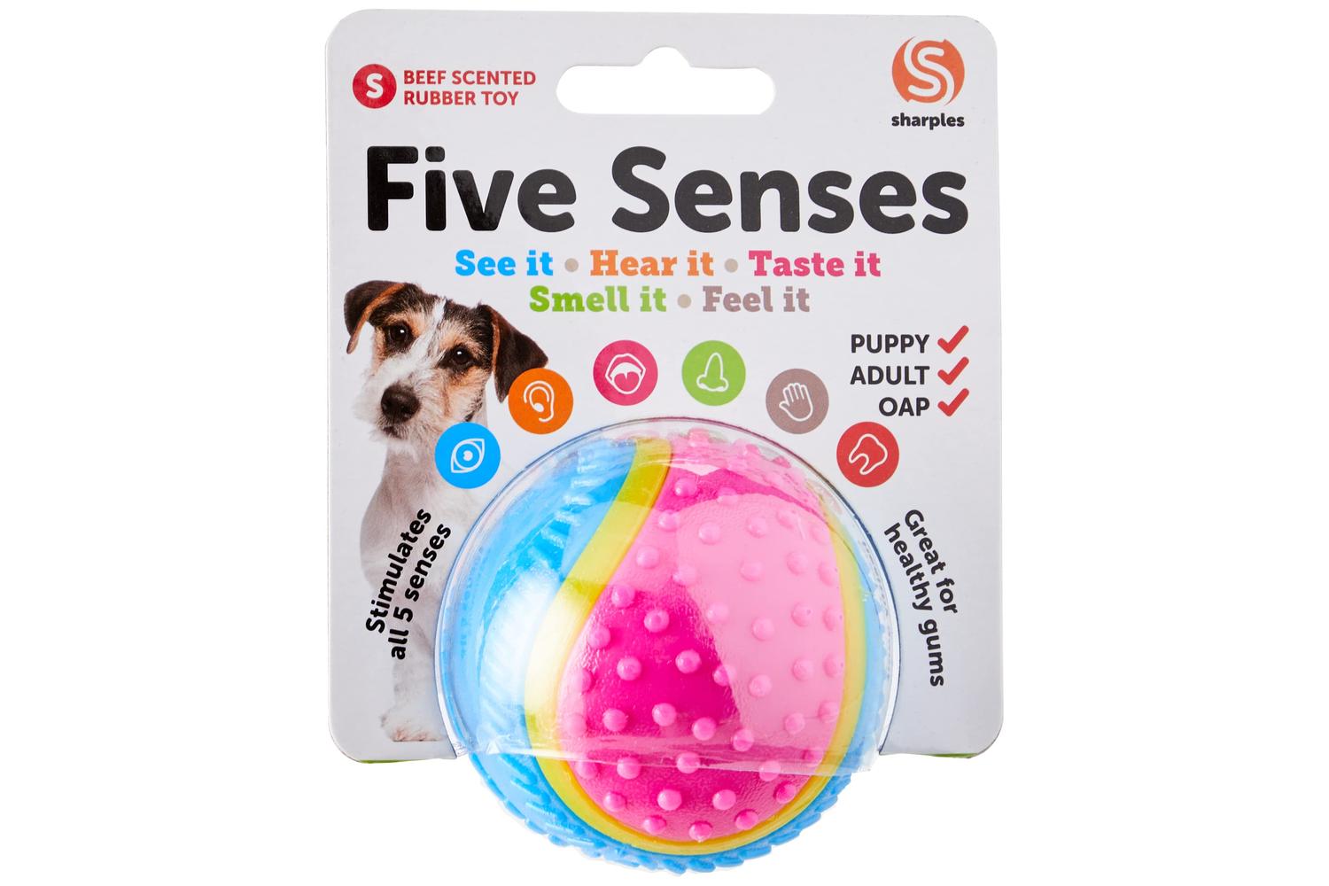 Sharples Bp-379741 - Five Senses Sensory Ball - 6.35cm-3