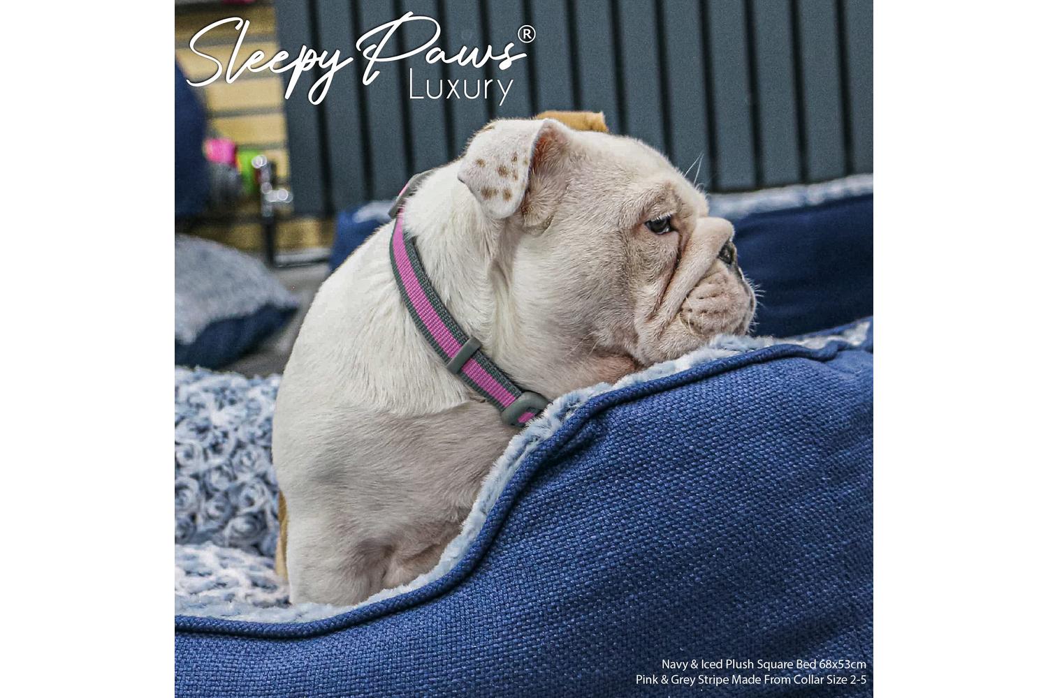 Sleepy Paws Bp-796515 - Sleepy Paws Navy Sq Bed - 70x60cm-3