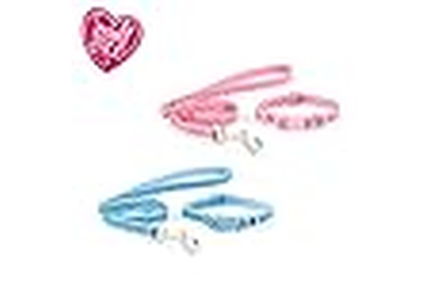 Small Bite Bp-220608 - An P&b Col&lead Set Pink 20-30cm-3