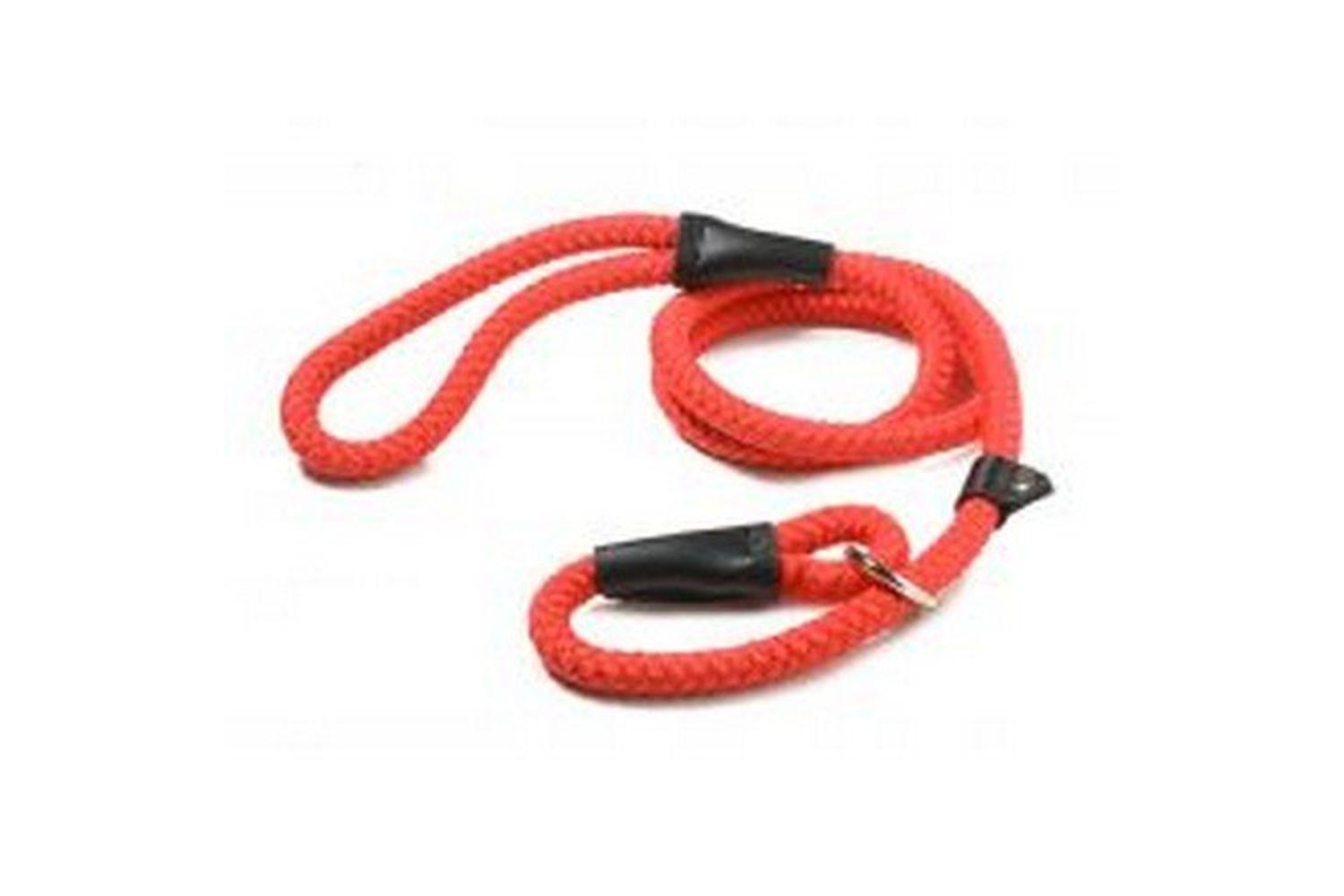 Walk 'r' Cise Bp-376053 - Nylon Rope Slip Lead Blk - 1.2x122-3
