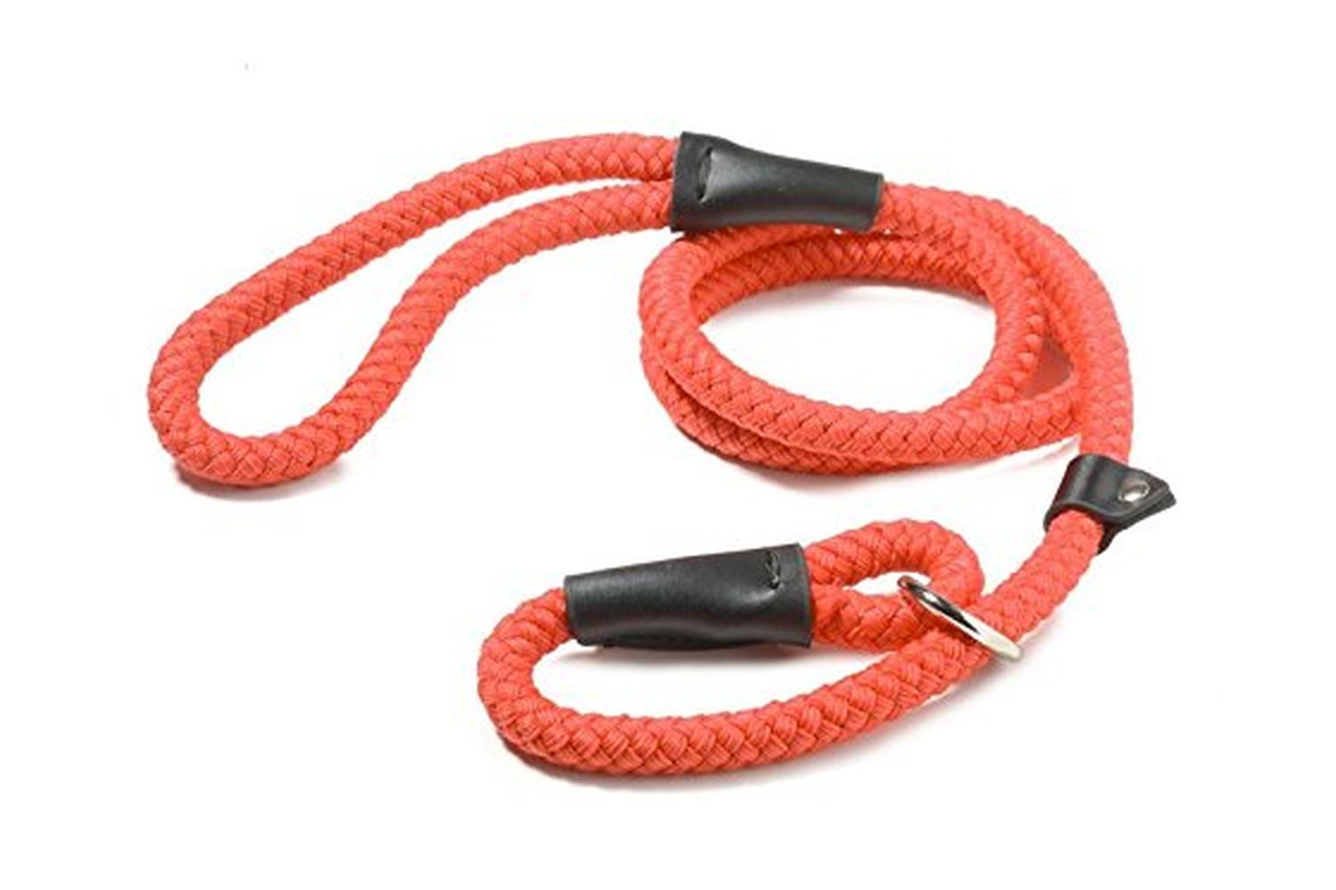 Walk 'r' Cise Bp-376019 - Nylon Rope Slip Lead Red - 1.2x122
