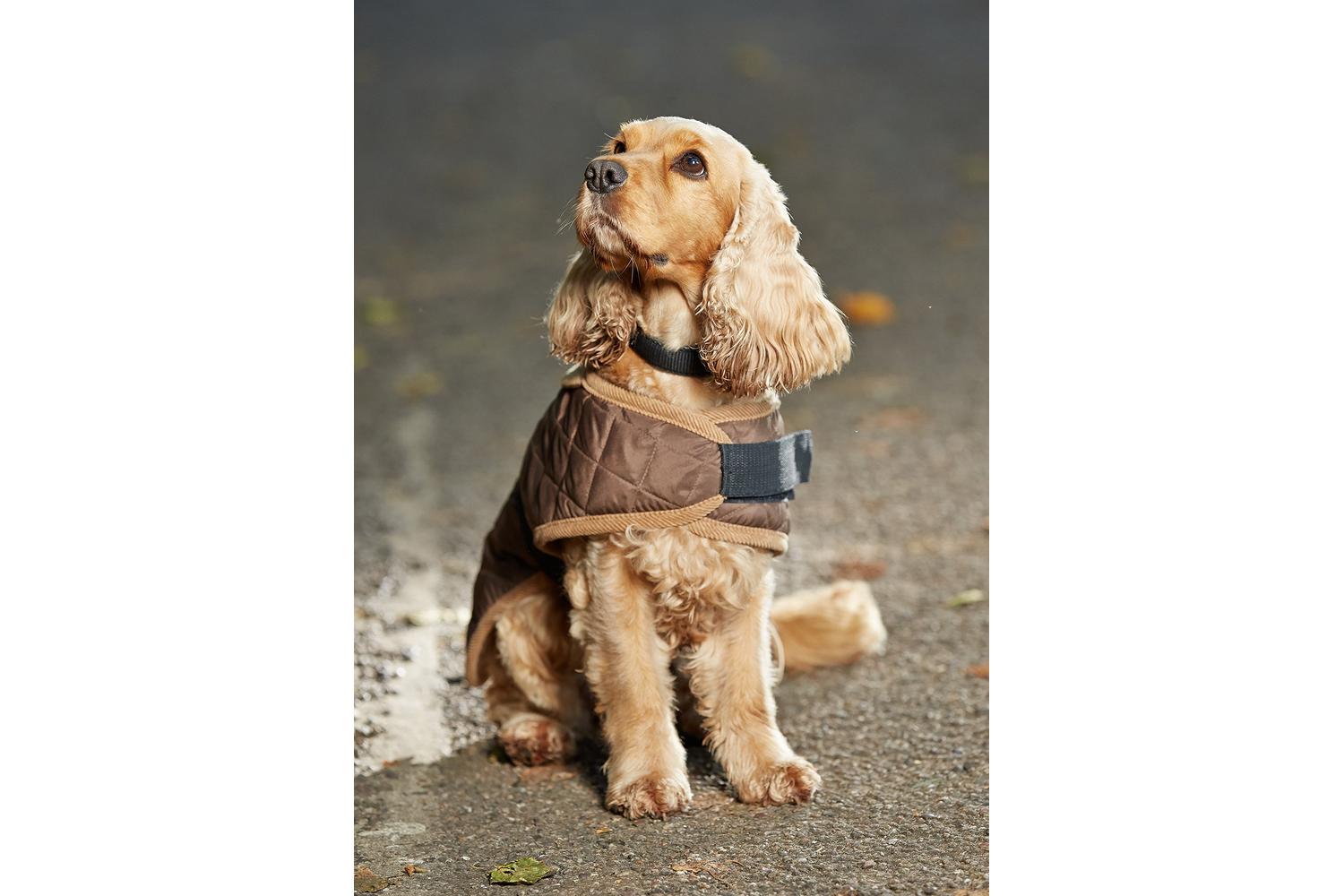 Gor Pets Gor-odc26-11 - Gor Pets Worcester Coat 66cm (26") B-2