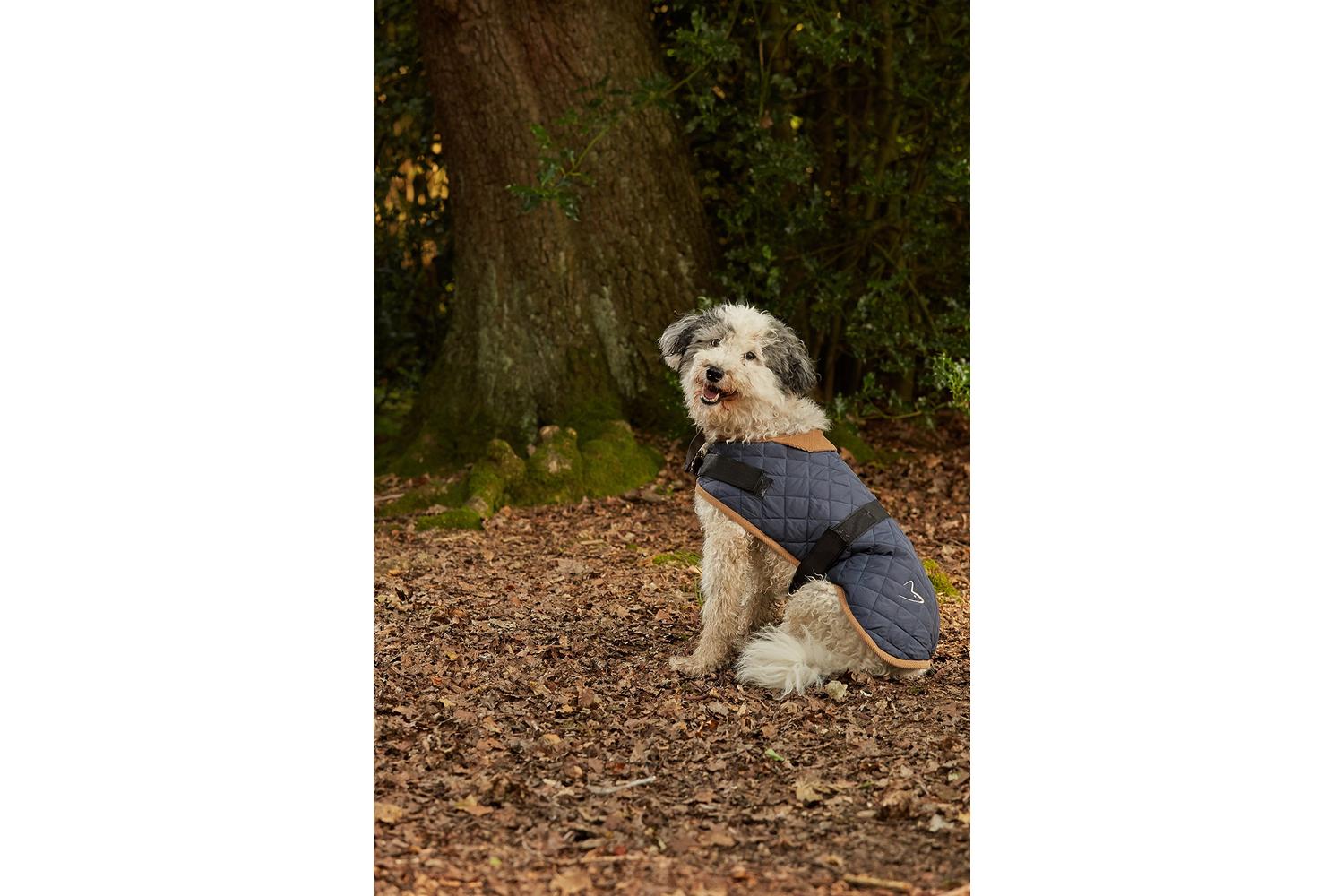 Gor Pets Gor-odc18-20 - Gor Pets Worcester Coat 46cm (18") N-2