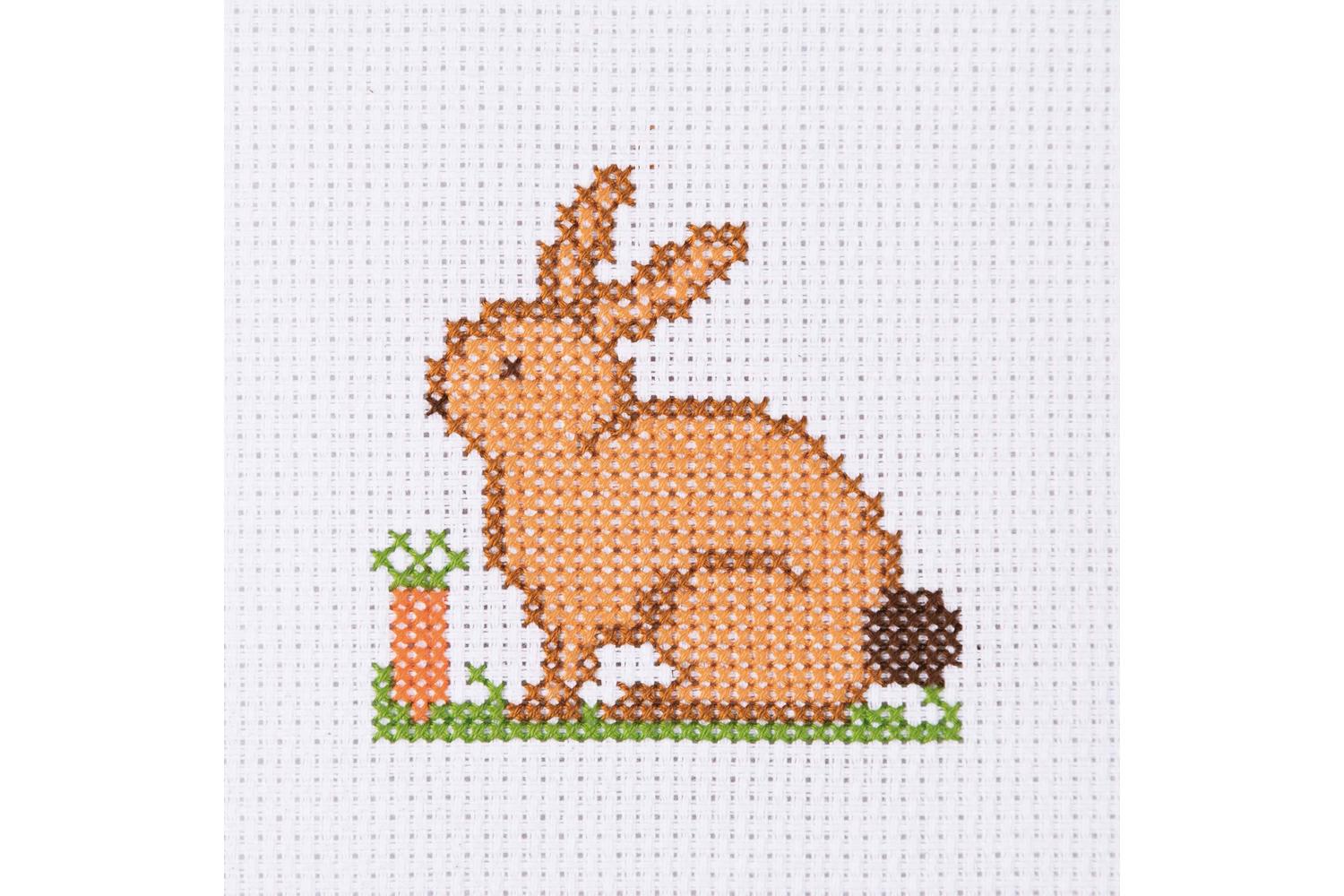 Anchor Gro-3690000\10021 - First Kit Pony - Counted Cross St-2