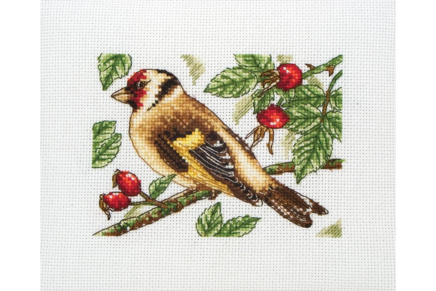 Anchor Gro-pce205 - Goldfinch - Counted Cross Stitch Kit Ess