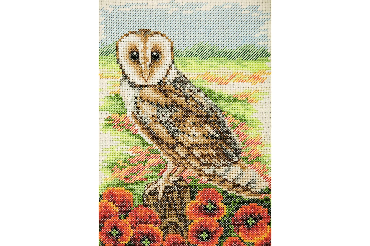 Anchor Gro-ak139 - Owl - Counted Cross Stitch Kit Essentials-2