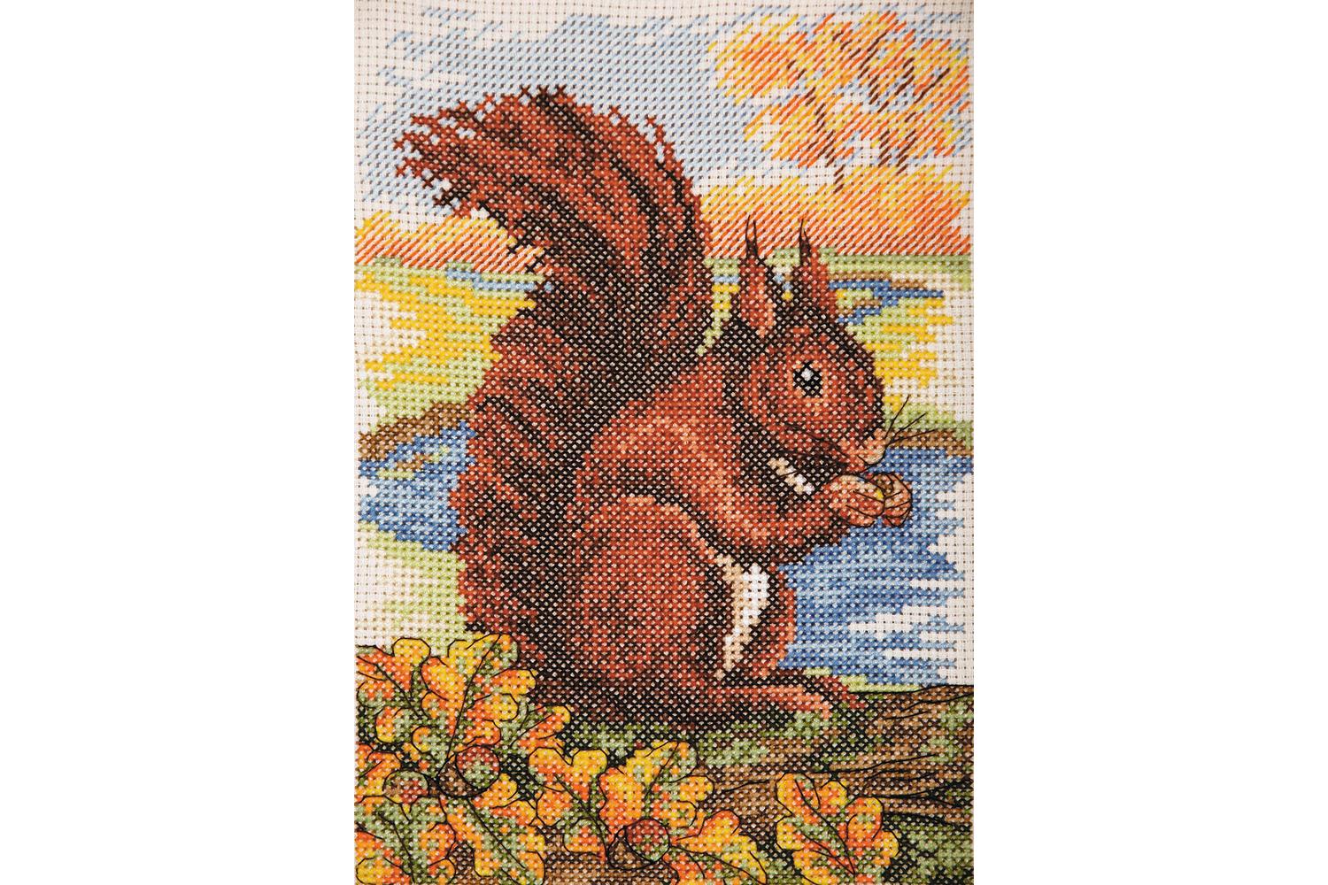 Anchor Gro-ak137 - Red Squirrel - Counted Cross Stitch Kit E-2