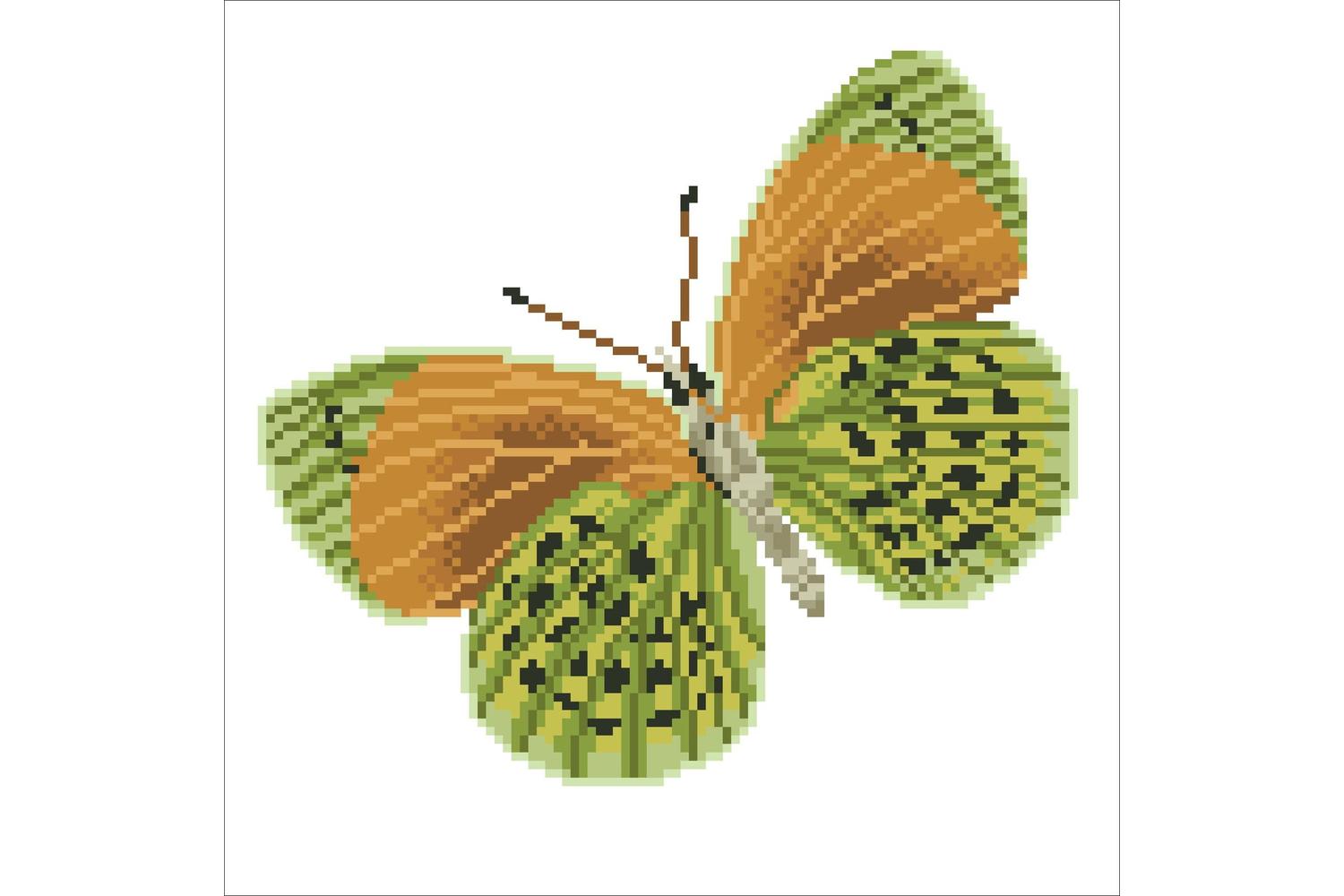 Diamond Dotz Gro-dd5.022 - Flutterby Earth - Diamond Paintin-3