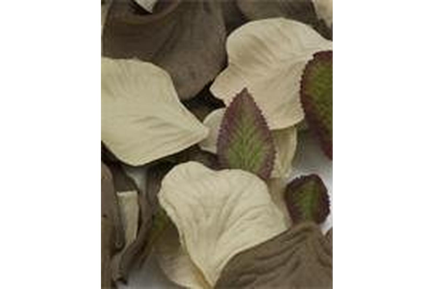 Occasions Gro-b1504ch\bn - Rose Petals Pack Of 164 Polyester