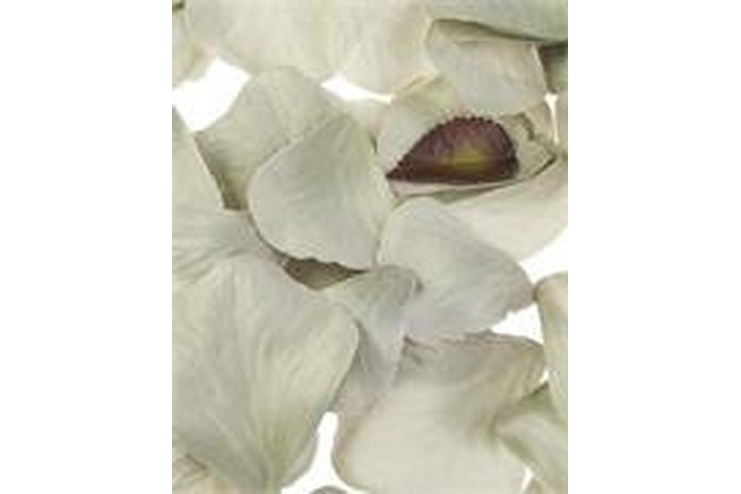 Occasions Gro-b1504gry - Rose Petal Box - Rose Petals Pack O