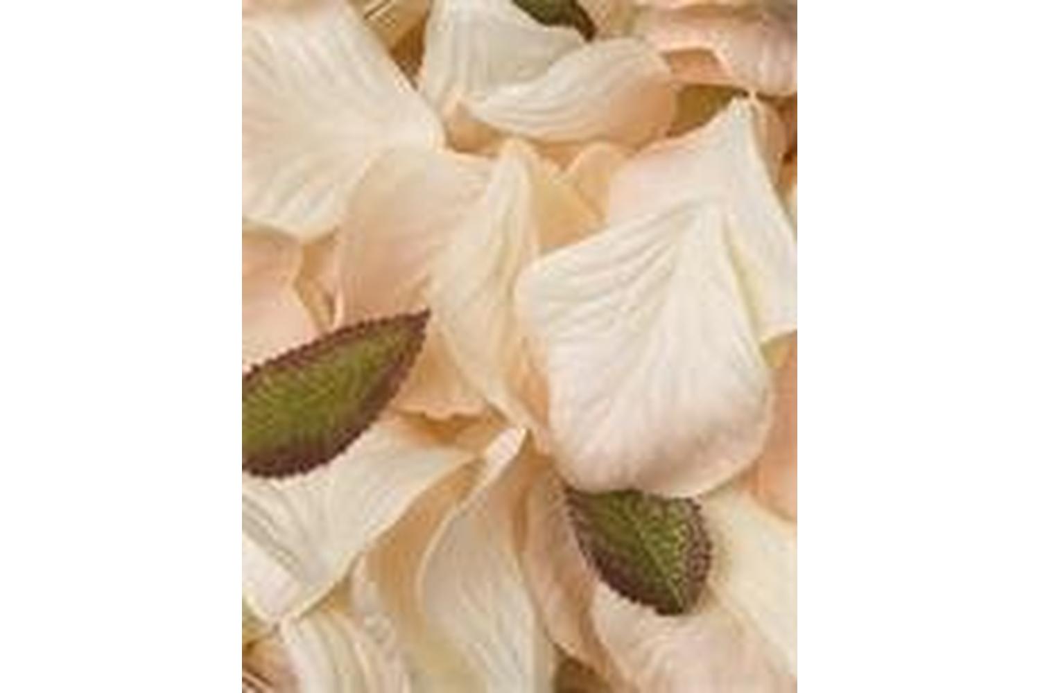 Occasions Gro-b1504pe - Rose Petal Box - Rose Petals Pack Of