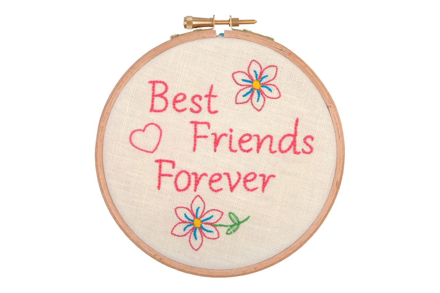 Anchor Gro-ahp206 - Best Friends Forever - Embroidery Kit Wi