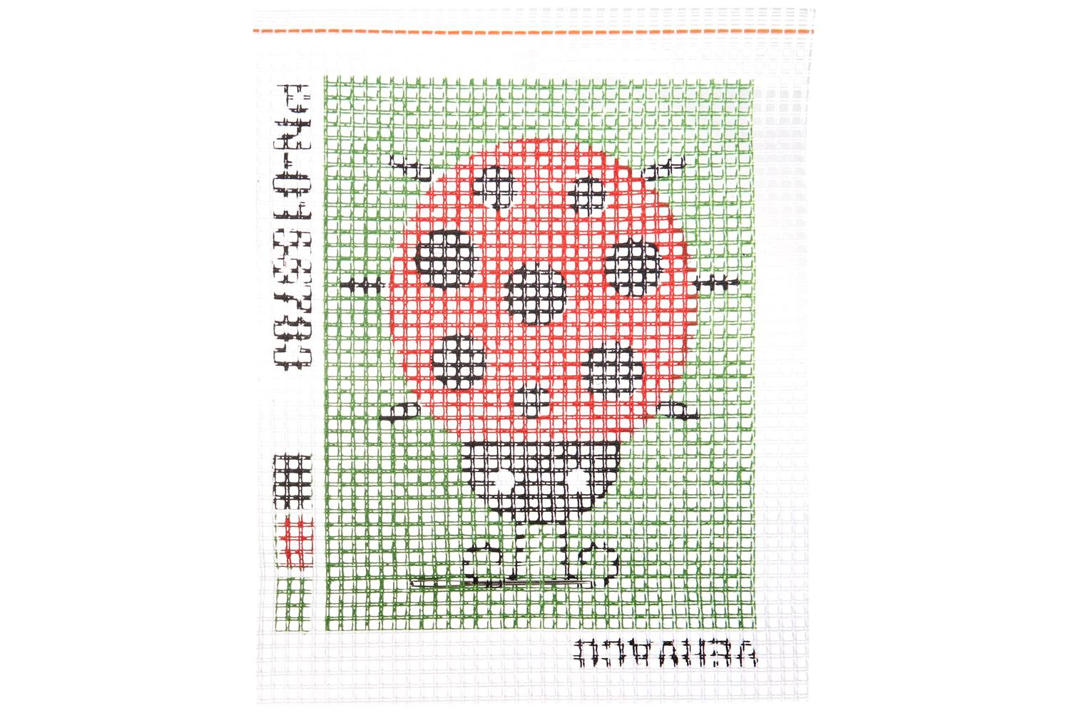 Vervaco Gro-pn-0155783 - Tkit Ladybug - Long Stitch Kit Lady-4