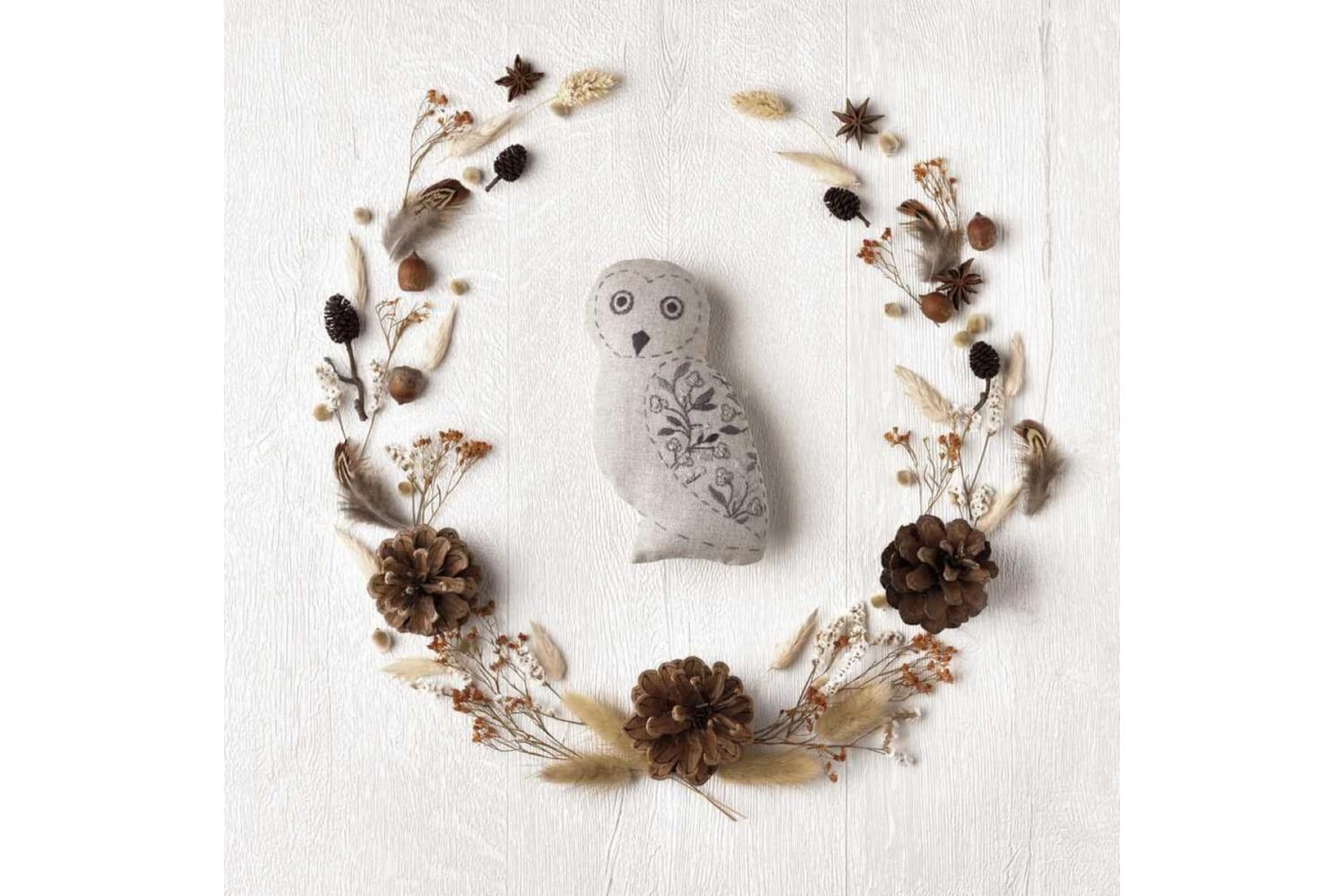 Anchor Gro-aff003 - Friends Oliver Owl - Embroidery Kit Free