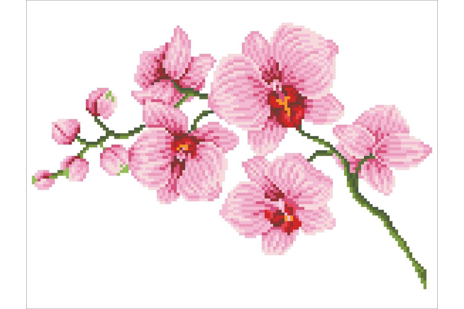 Diamond Dotz Gro-dd6.034 - Orchid Spray - Diamond Painting K-3