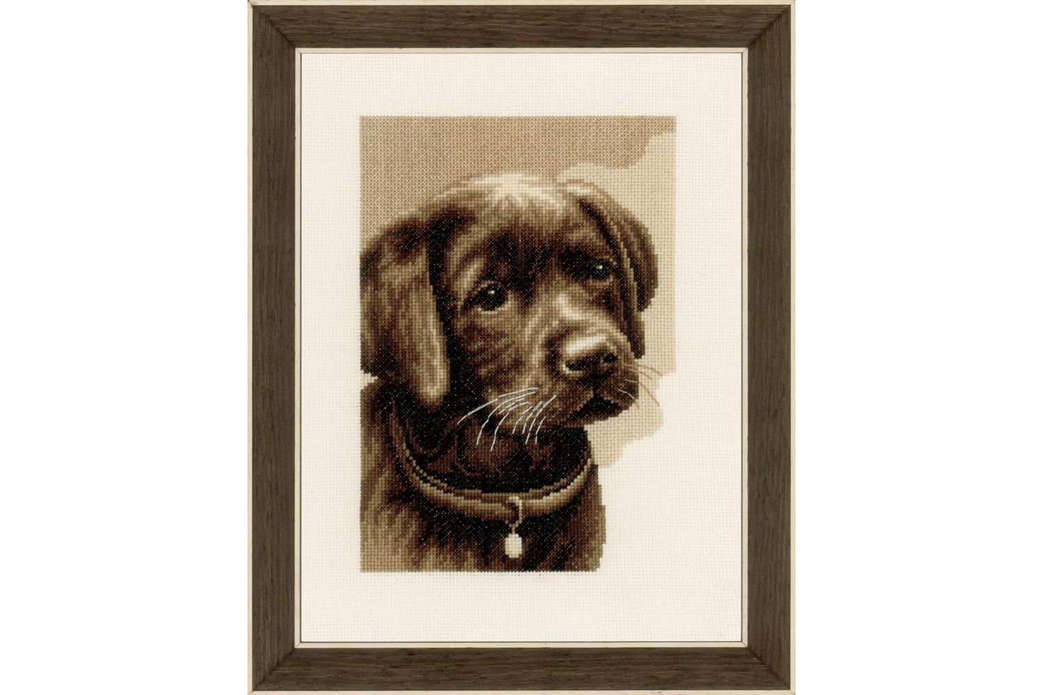 Vervaco Gro-pn-0158080 - Labrador Puppy - Counted Cross Stit