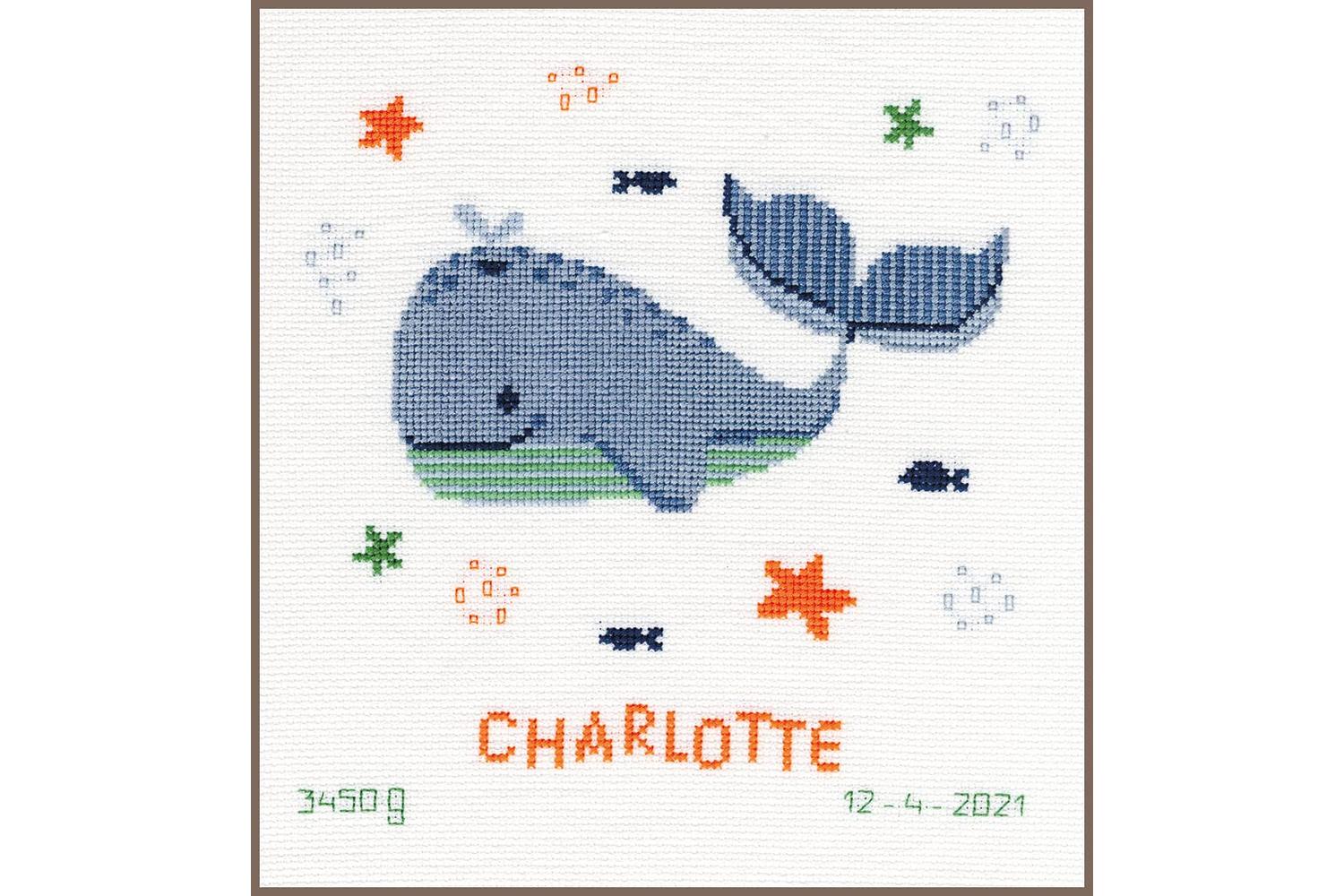 Vervaco Gro-pn-0191830 - Brec Whales Fun - Counted Cross Sti
