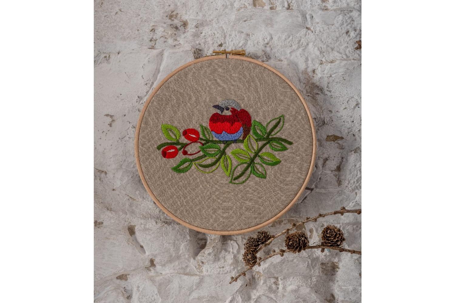 Anchor Gro-pe140 - Hoop Rnd Vbirds - Embroidery Kit Essentia