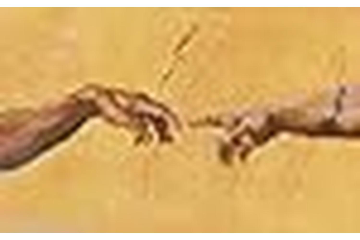 Lanarte Gro-pn-0007975 - Creation - Counted Cross Stitch Kit-2