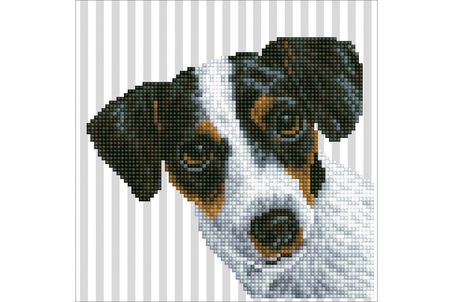 Diamond Dotz Gro-dd3.023 - Me - Diamond Painting Kit Me - Di
