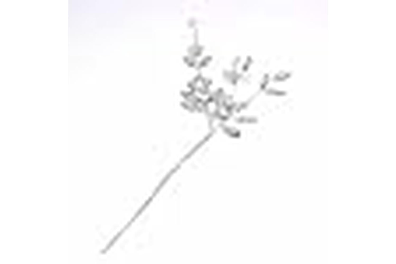 Occasions Gro-b1888wh\sl - Mirror Pearl Spray - Pick Pearl M-2