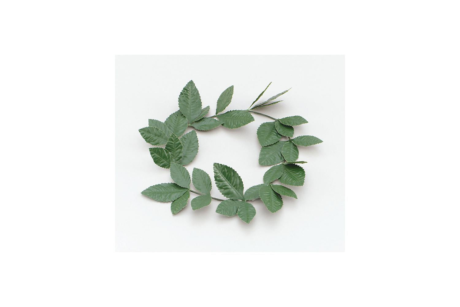 Rubies | Rb-ba480 | Green Laurel Greek Toga Accessory
