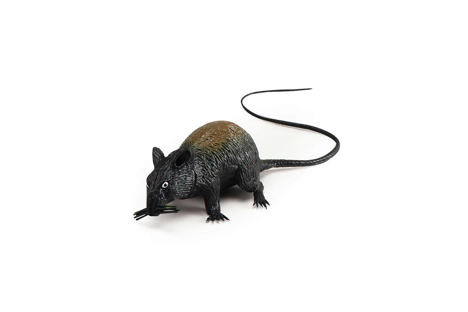 Rubies | Rb-ak013 | Black Rubber Squeaking Rat