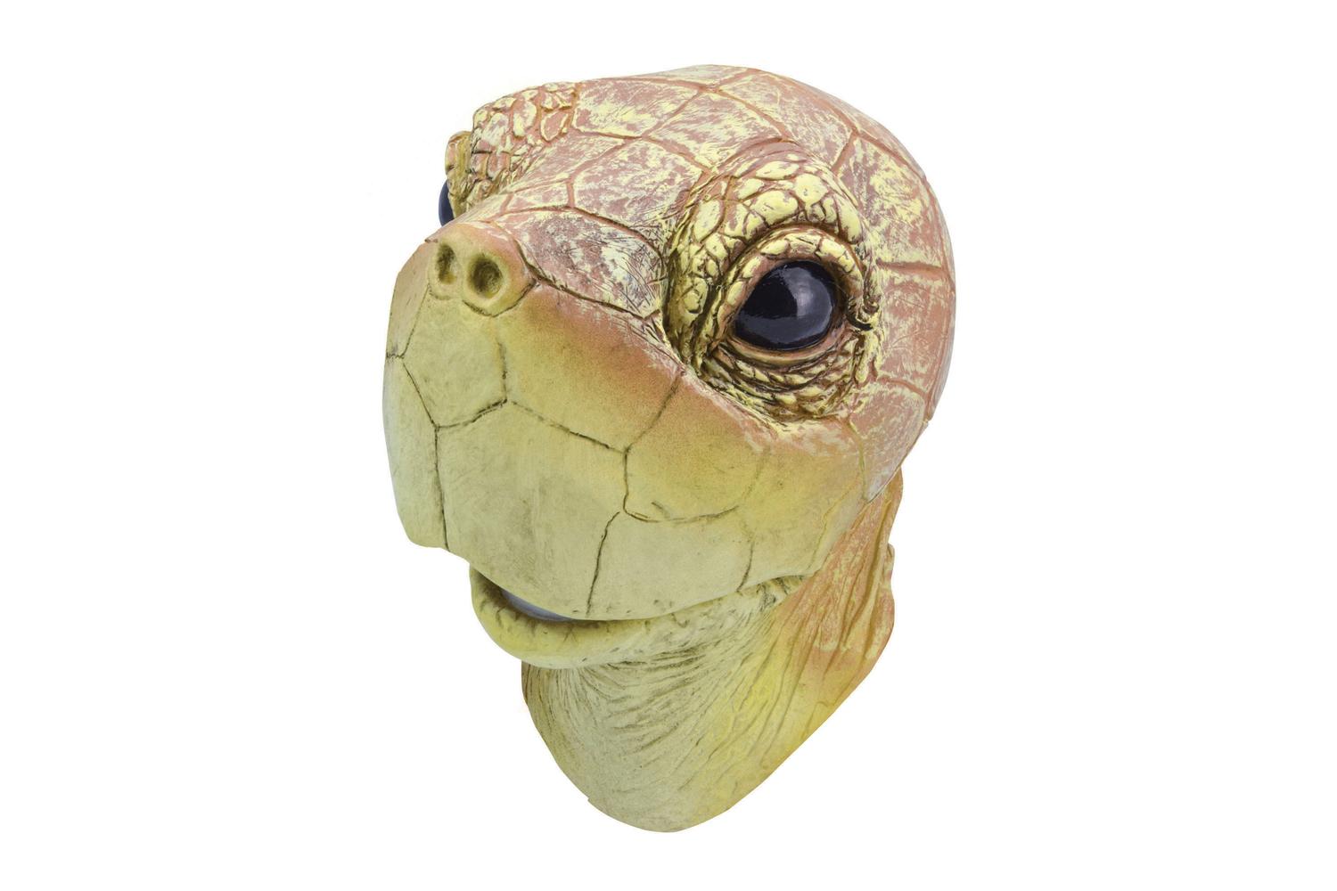 Rubies | Rb-bm448 | Full Head Turtle Mask