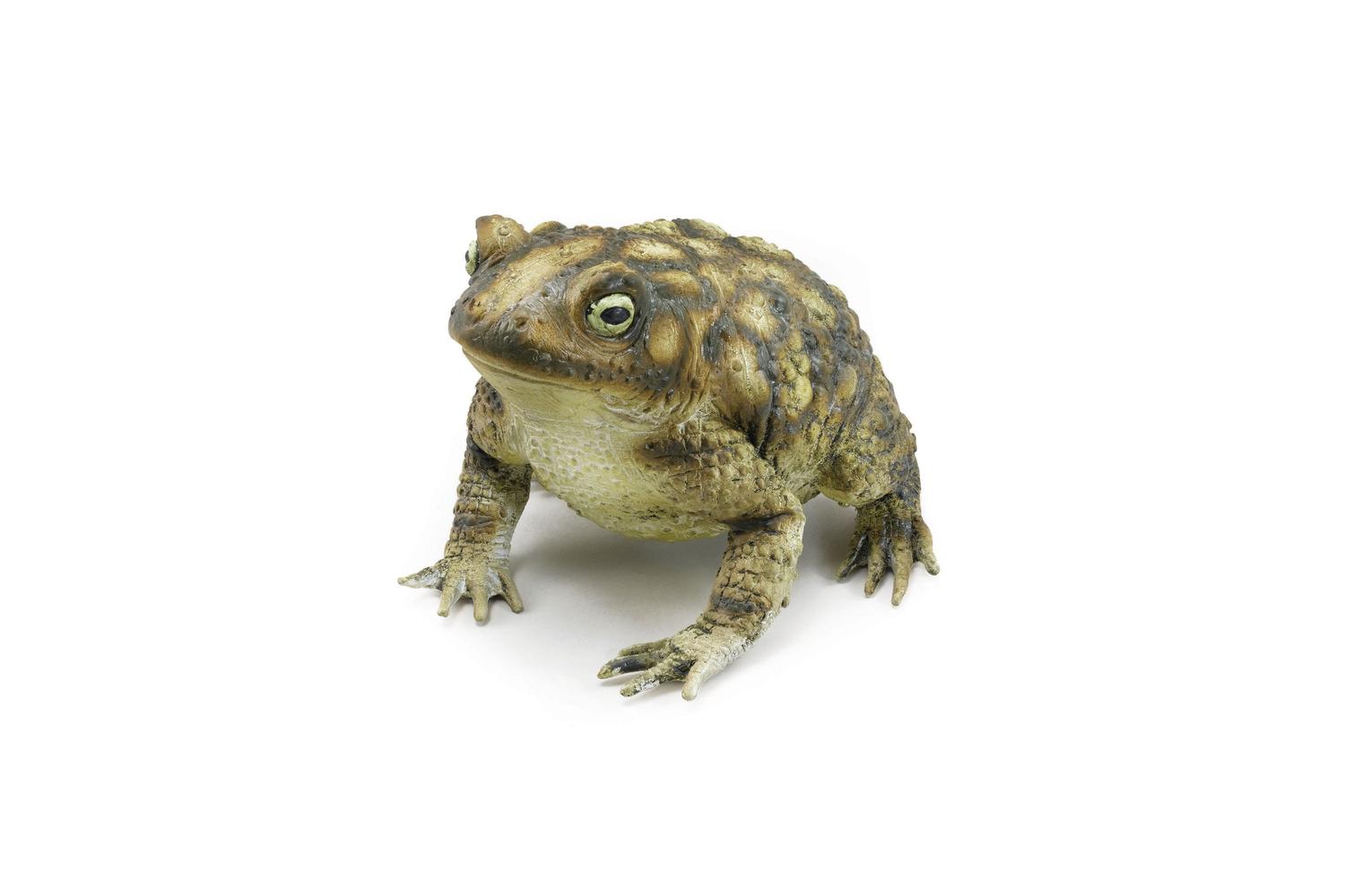 Rubies | Rb-ak049 | Rubber Toad
