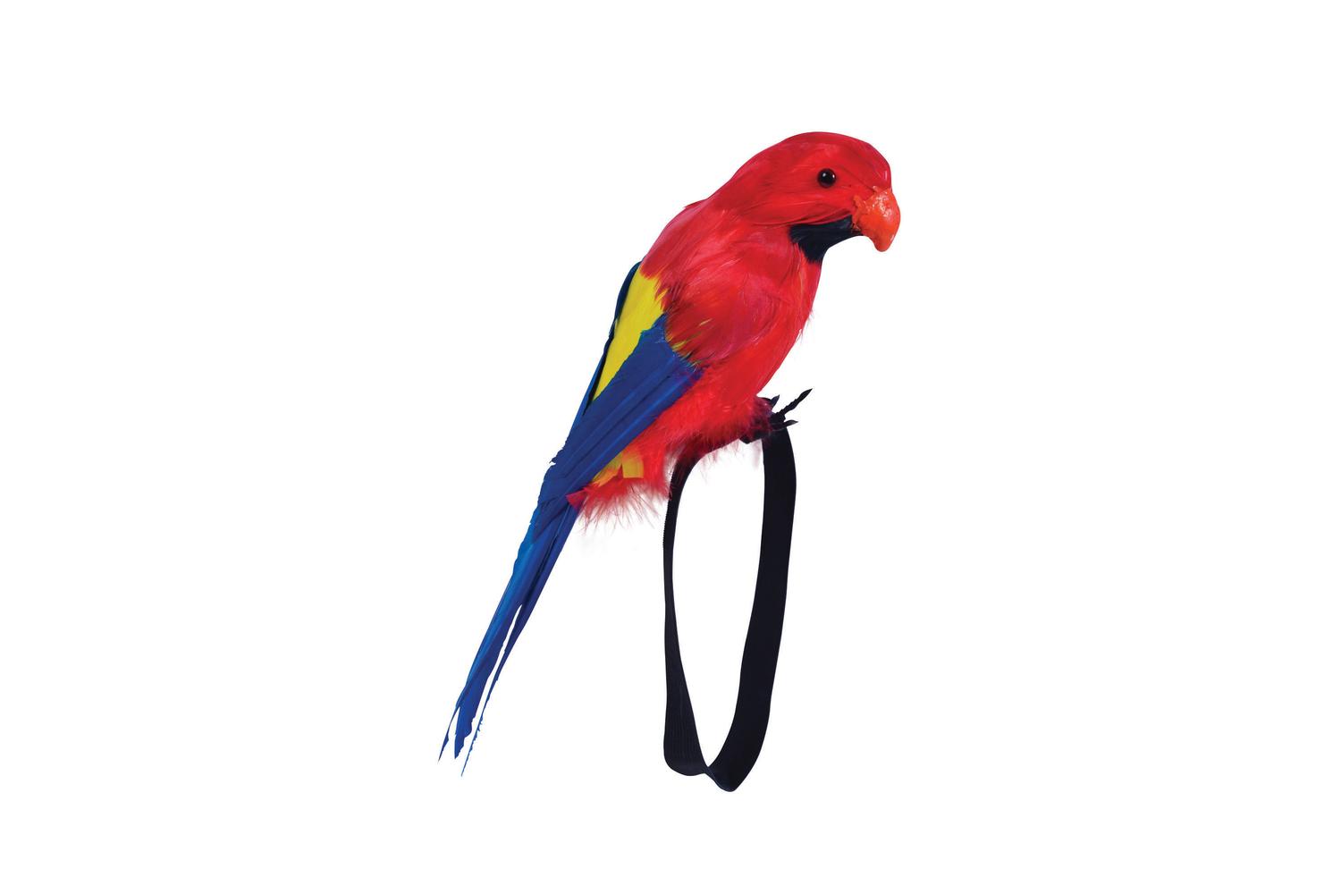 Rubies | Rb-ba351 | Feather Wrist Parrot