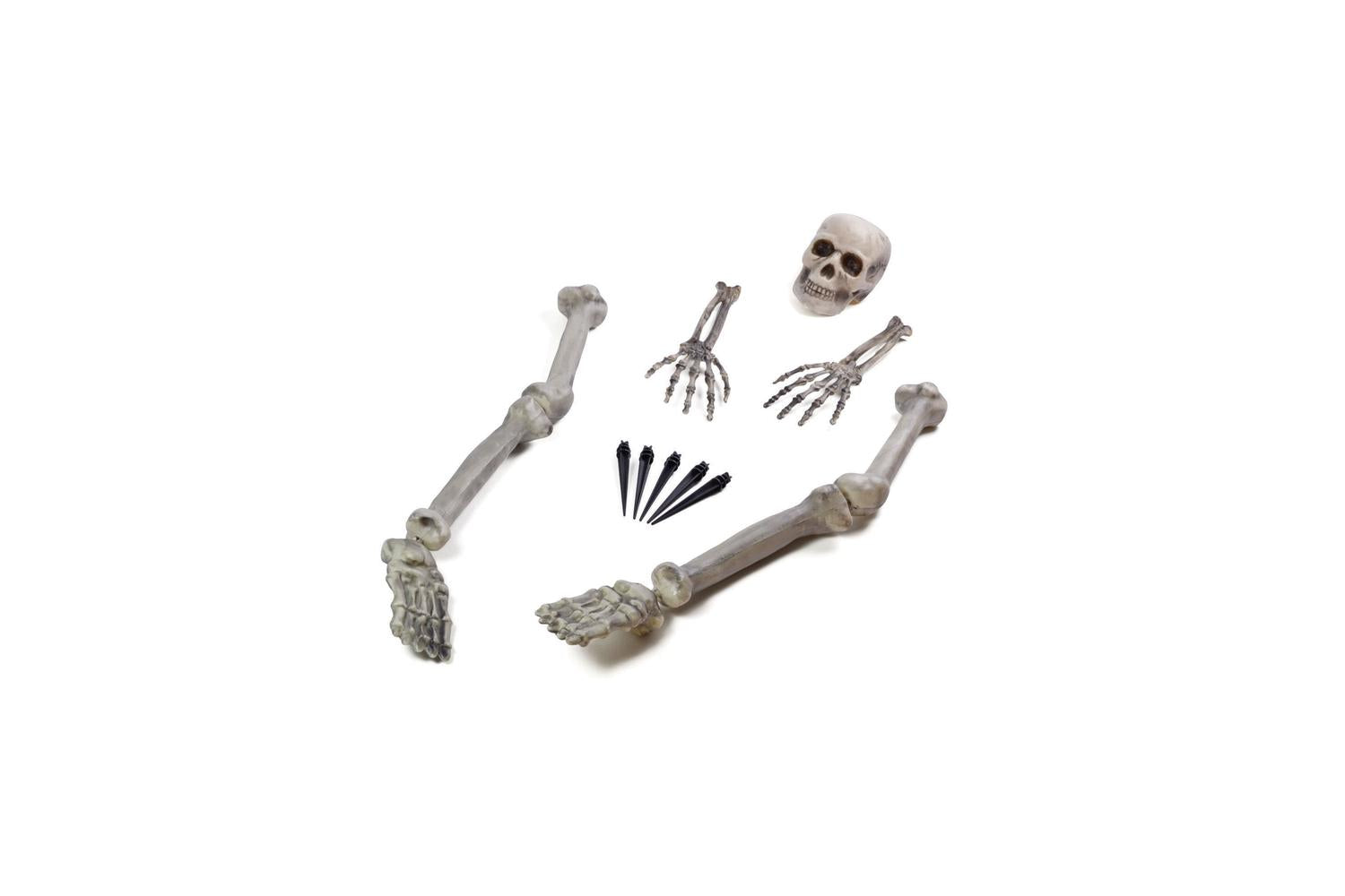 Rubies | Rb-hi289 | Skeleton Ground Breaker