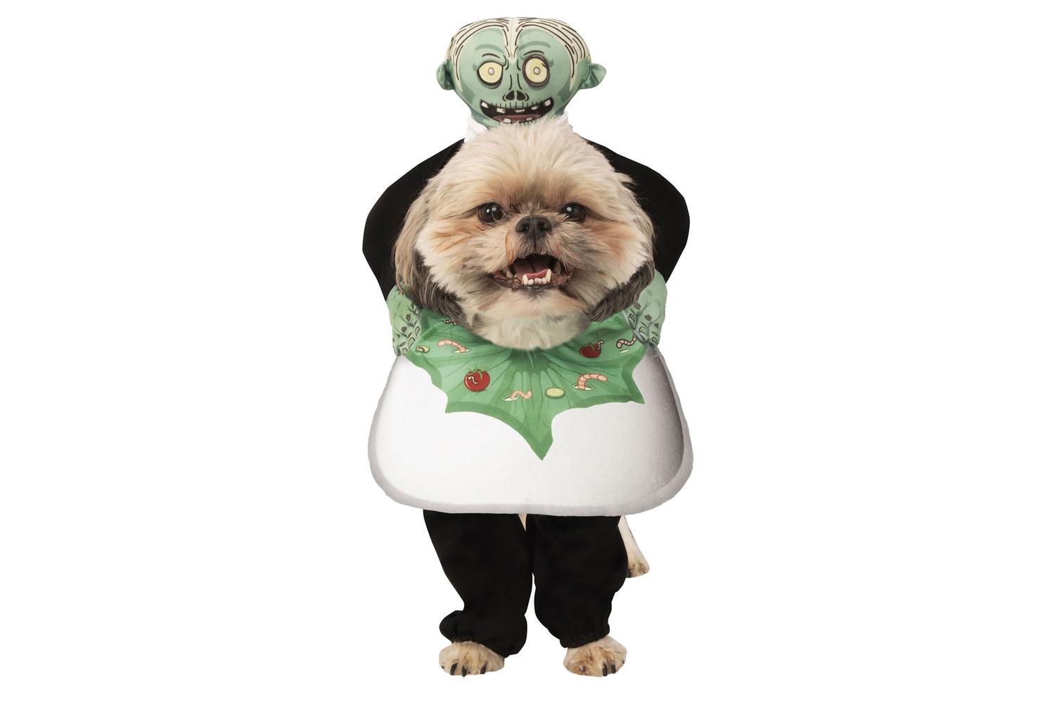 Rubies | Rb-200246-s | Pet Head On A Platter S
