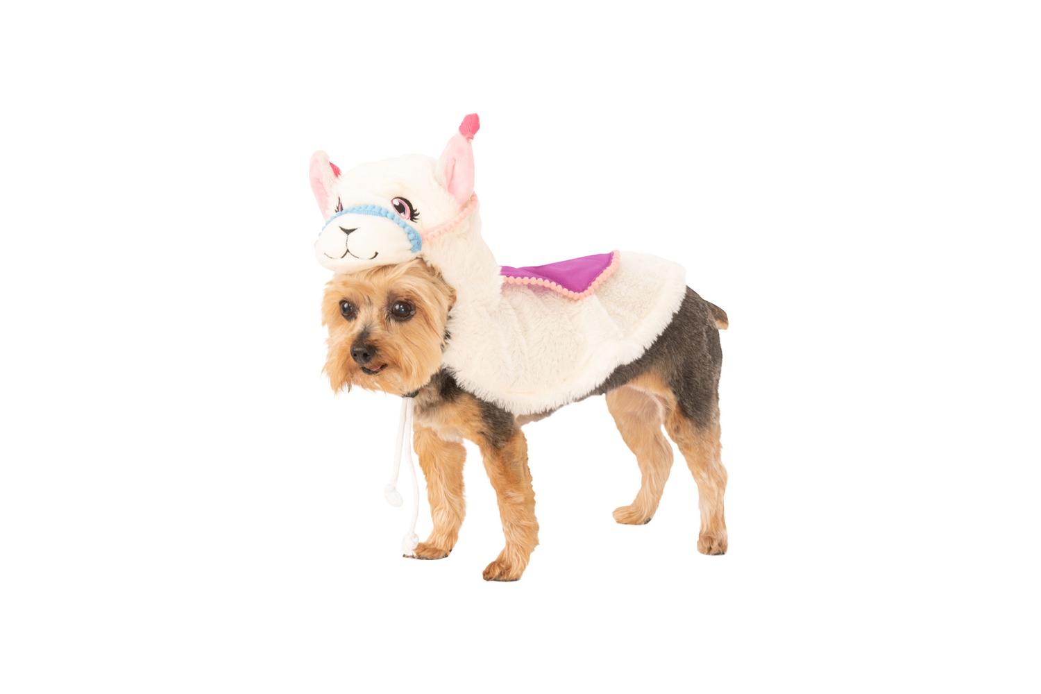 Rubies | Rb-200276-m | Pet Llama M